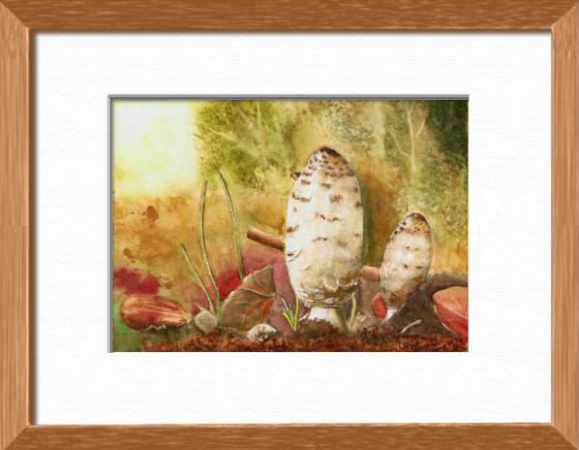 Aquarelle originale encadrée : Champignons - Coprins chevelus, D'après une photo de Quentin Champignons - Coprins chevelus, D'après une photo de Quentin, Fleurs, plantes, nature - , aquarelle originale encadree, aquarelle avec cadre, carnet de voyage, aquarelle du monde