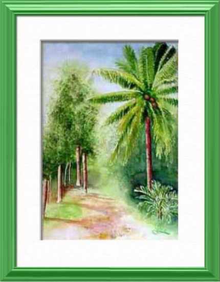 Small familiar path, Darwin - Northern Territory - Australia, Australia - World landscapes - , original framed watercolour, world travel diary, world watercolour