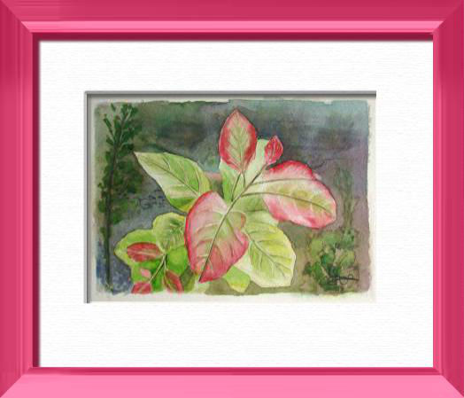 Red leaves, Plants, flowers, nature - , original framed watercolour, world travel diary, world watercolour