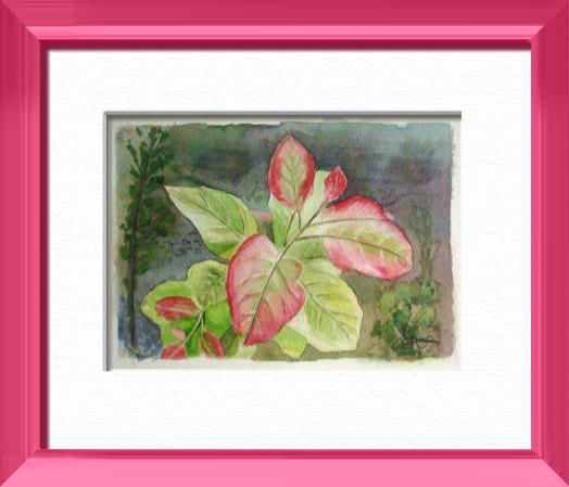 Aquarelle originale encadrée : Feuilles pourpres Feuilles pourpres, Fleurs, plantes, nature - , aquarelle originale encadree, aquarelle avec cadre, carnet de voyage, aquarelle du monde