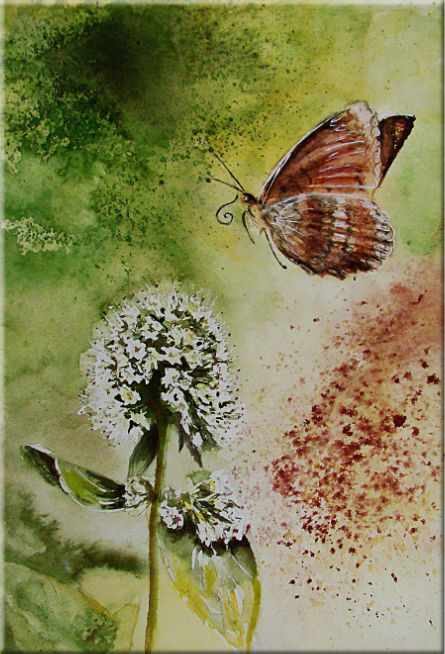 Vol du papillon, Mélitée des centaurées, Fleurs, plantes, nature - Nos amies les betes - , aquarelle originale encadree, aquarelle avec cadre, carnet de voyage, aquarelle du monde