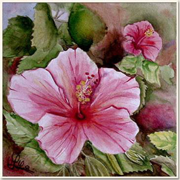 Aquarelle originale, Un hibiscus rose, Madras - Inde, peinture, aquarelle, carnet de voyage , hibiscus, fleur, roses