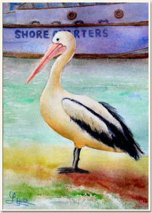 Aquarelle originale, Un pélican au repos, Australie du Sud, peinture, aquarelle, carnet de voyage , pelican, mer, rivage, oiseau