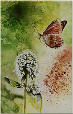 watercolor