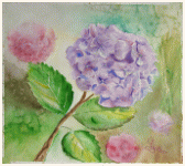 Un hortensia mauve de mon jardin, , peinture, aquarelle, carnet de voyage, monde, Clairanne Filaudeau 