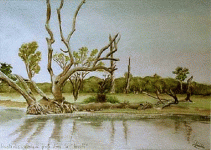 Aquarelle originale : Paysages du monde-Quelque part dans le bush