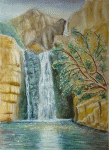 Aquarelle originale : Wild Australia-Australian Cascade, Just time for a bath