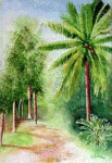 Aquarelle originale : Paysages du monde-Petit chemin familier