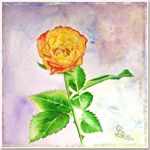 watercolor