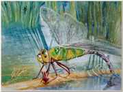 watercolor
