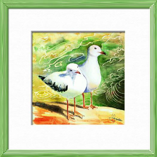 Un couple de goélands au bord de l'eau, Australie du Sud, Oiseaux - , aquarelle originale encadree, aquarelle avec cadre, carnet de voyage, aquarelle du monde