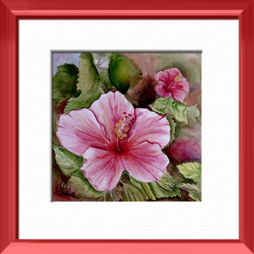 Un hibiscus rose, Madras - Inde, Fleurs, plantes, nature - , aquarelle originale encadree, aquarelle avec cadre, carnet de voyage, aquarelle du monde