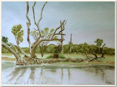 Aquarelle originale, Quelque part dans le bush, Territoire du nord, peinture, aquarelle, carnet de voyage , bush, nature, sauvage, australie, vert, verdure, paysage