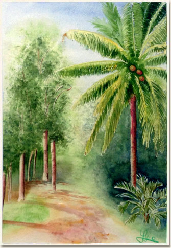 Aquarelle originale, Petit chemin familier, Darwin - Territoires du Nord - Australie, peinture, aquarelle, carnet de voyage , palmiers, australie