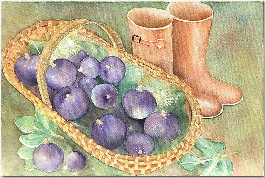 Aquarelle originale, Après la récolte, peinture, aquarelle, carnet de voyage , figues, bottes, automne