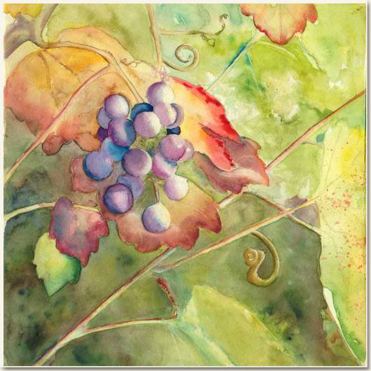 Aquarelle originale, Grains à croquer, peinture, aquarelle, carnet de voyage , grappe, raisin, cep, vendange, vigne