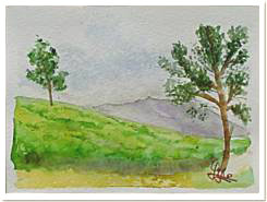 Original watercolour, Tea plantations, Java Island - Indonesia, paint, watercolour, world diary, watercolour , 