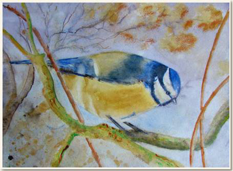 Original watercolour, Blue titmouse, From a Quentin's photo, paint, watercolour, world diary, watercolour , 