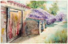 Glycine et vieilles pierres, Floraison de printemps, peinture, aquarelle, carnet de voyage, monde, Clairanne Filaudeau 