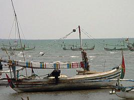 Jonque de pêcheur, Java