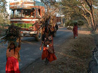 Goa, Inde