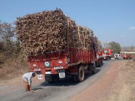 Inde