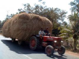 Inde